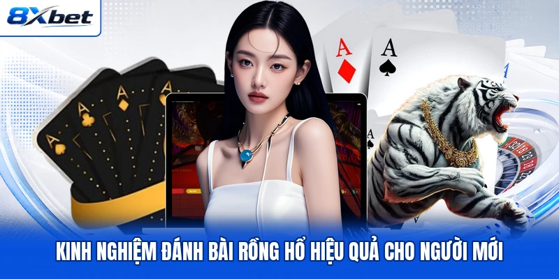 Kinh nghiệm đánh bài Rồng Hổ hiệu quả cho người mới